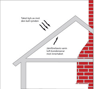 Tryhhetsvakten Vind